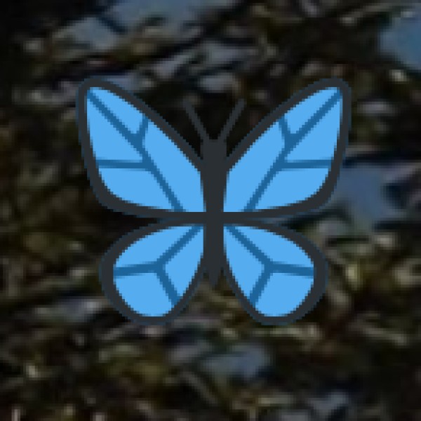 Lepakshi Temple (Architectural Wonder)