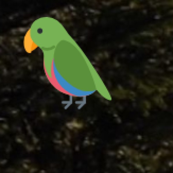 Mangalavanam Bird Sanctuary