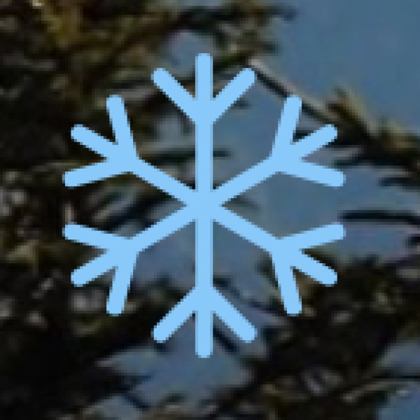 Noyyal River & Check Dam – A Peaceful Escape