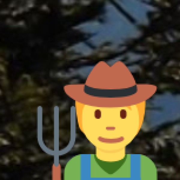 Anegundi & Barkur – Historical Ruins