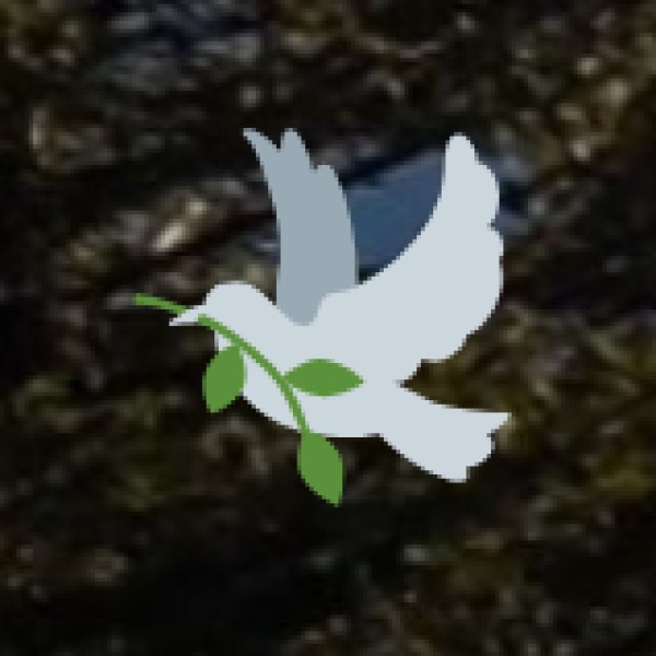 Pulicat Lake & Bird Sanctuary