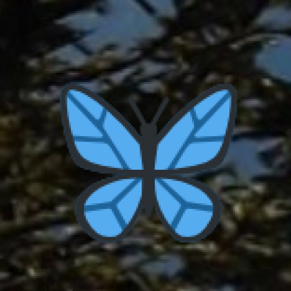 Museums & Cultural Sites