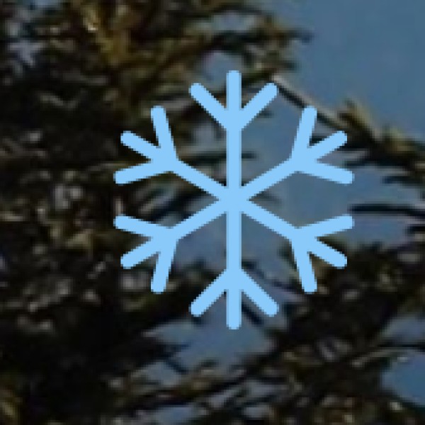 Other Notable Attractions in Chennai