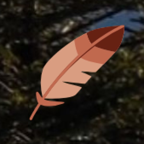 Attractions in Chennai