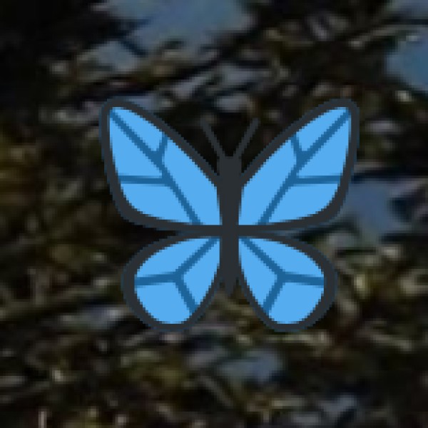 Bhagwan Mahavir Government Museum