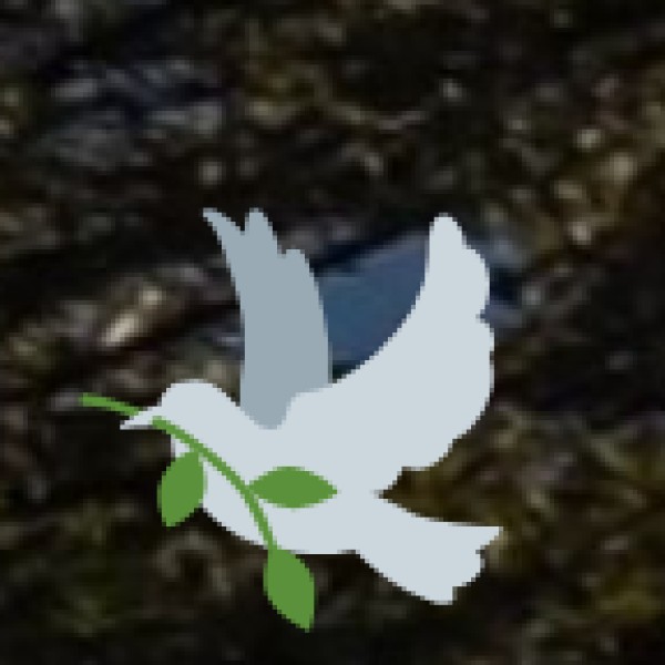 Vekkali Amman Temple (Woraiyur)