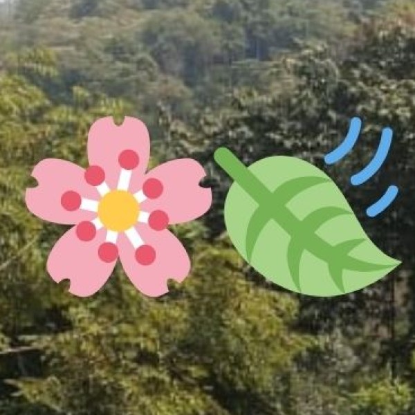 Other Notable Attractions