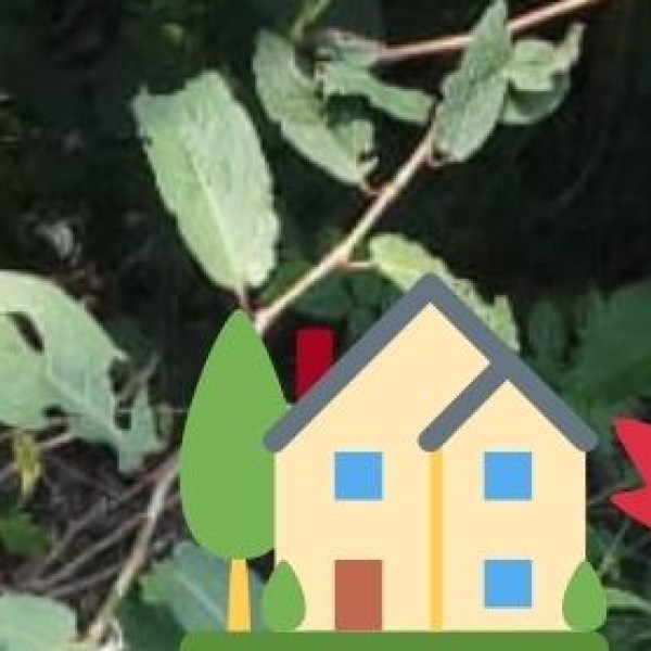 Periyar Memorial House (EVR House)