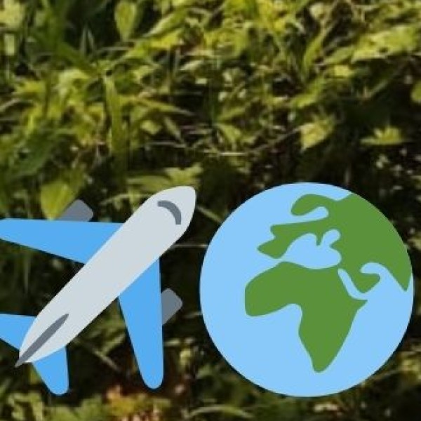 Arrival in India – Immigration & Transport