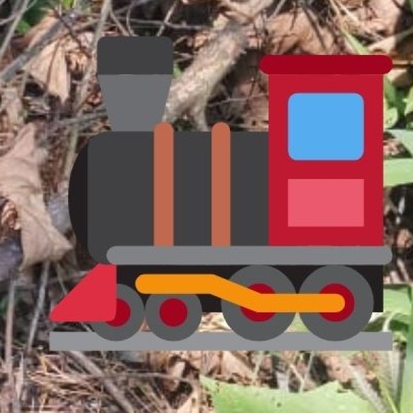 Ride the Toy Train in Darjeeling or Shimla