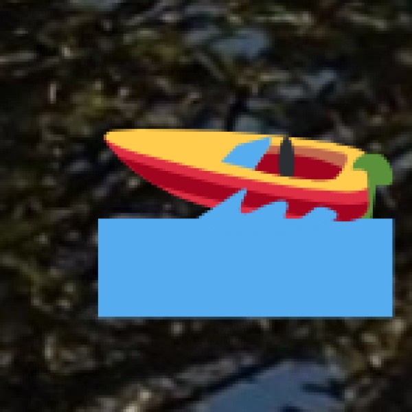 Water Sports:
