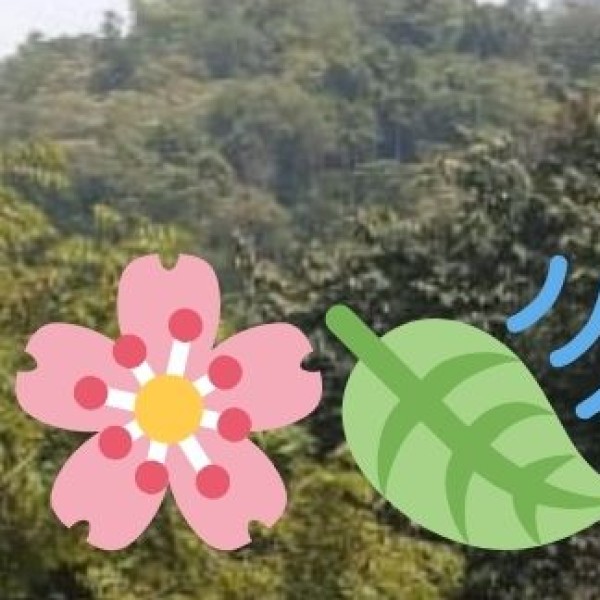 Trekking & Hiking