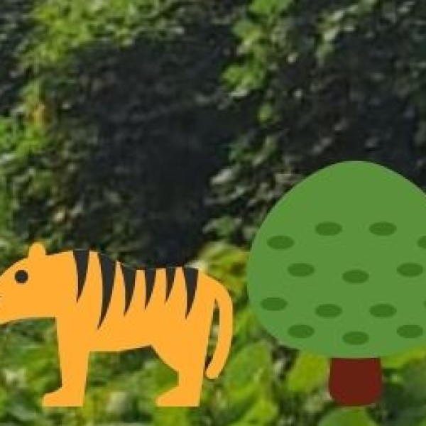 Pobitora Wildlife Sanctuary – The Mini Kaziranga