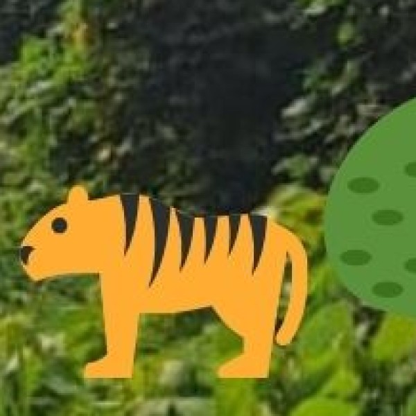 Pench National Park – Wildlife Paradise