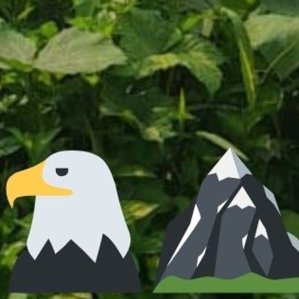 Natural Attractions and Wildlife
