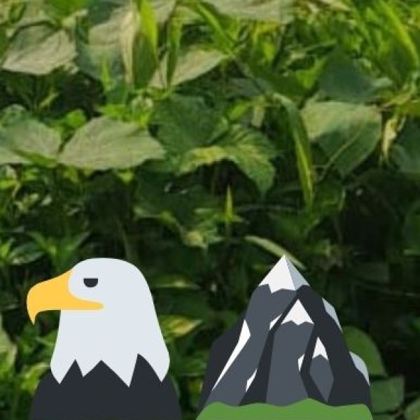 Wildlife & Adventure Destinations