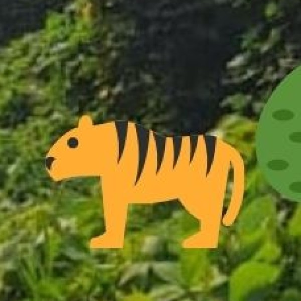 Namdapha National Park – A Wildlife Lover’s Paradise