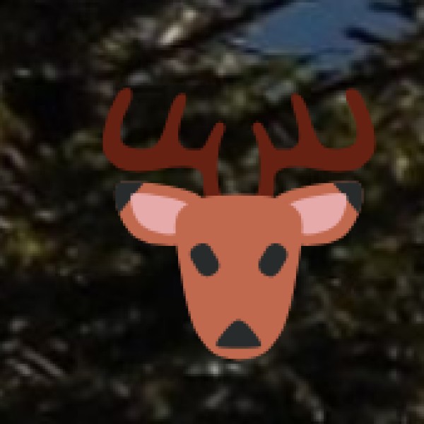 Khawnglung Wildlife Sanctuary