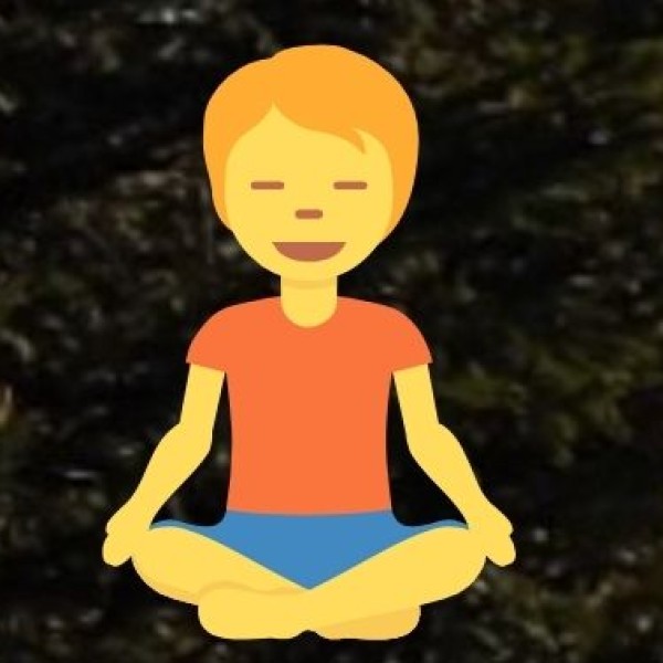 Wellness Experiences in Bihar