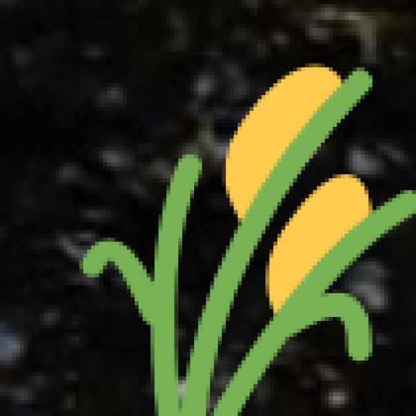Herbal & Medicinal Plant Trails