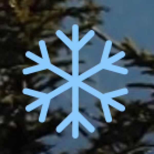 Infrastructure & Development