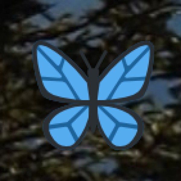 Best Beaches in Daman & Diu