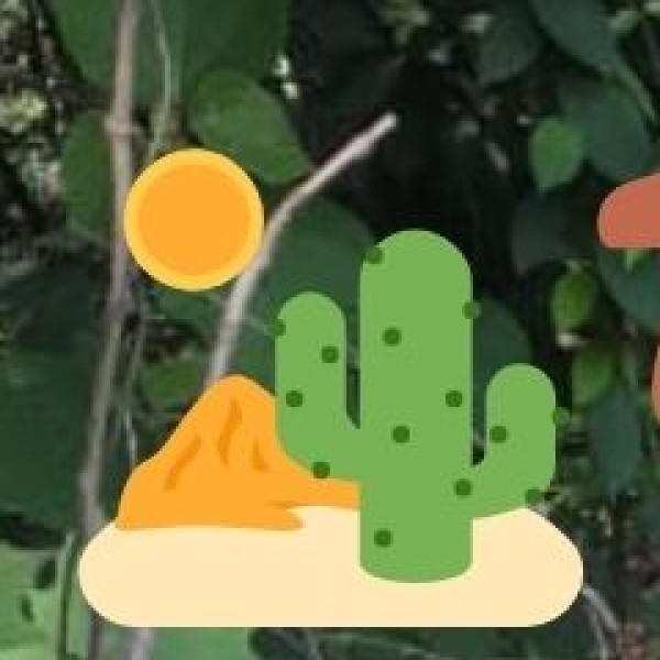 Digha – The Most Popular Beach Destination