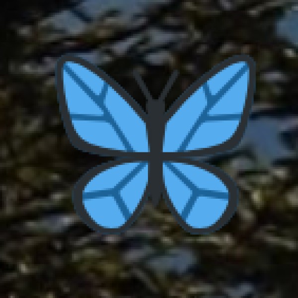 Shivrajpur Beach – Gujarat’s Only Blue Flag Beach