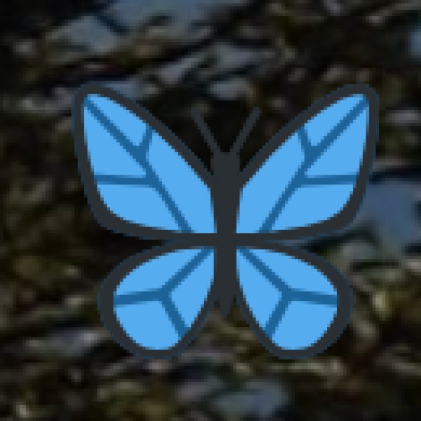 Beaches & Coastal Destinations