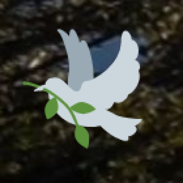 Wetlands and Bird Sanctuaries: