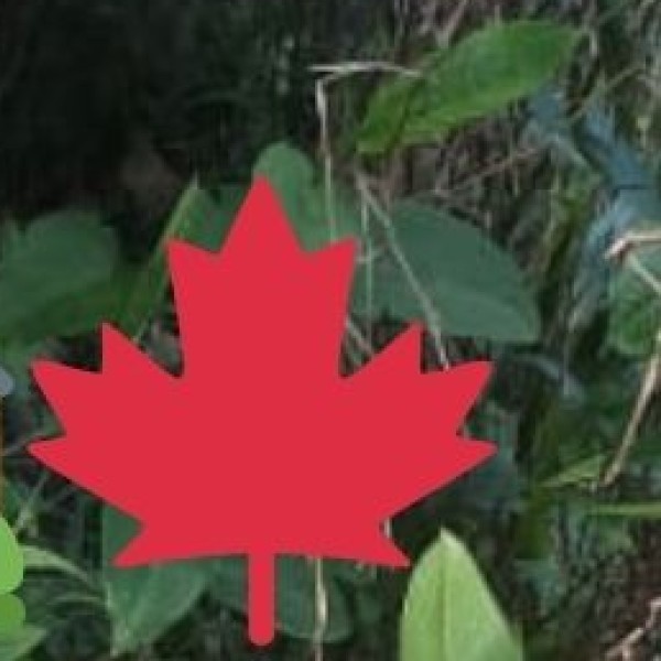 Sustainability & Responsible Tourism