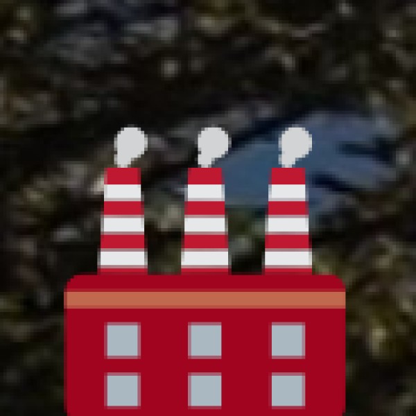 • Tourist Services: