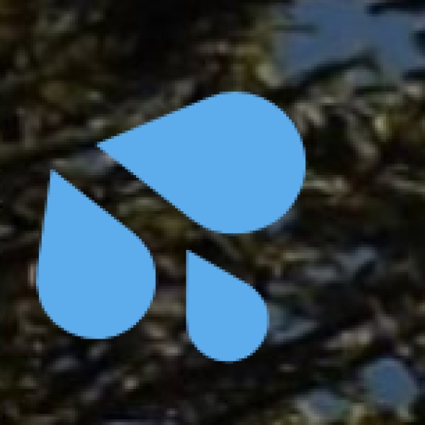 Best Beach Destinations in West Bengal