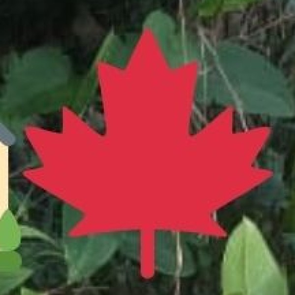 Artificial Beaches & Urban Waterfront Experiences