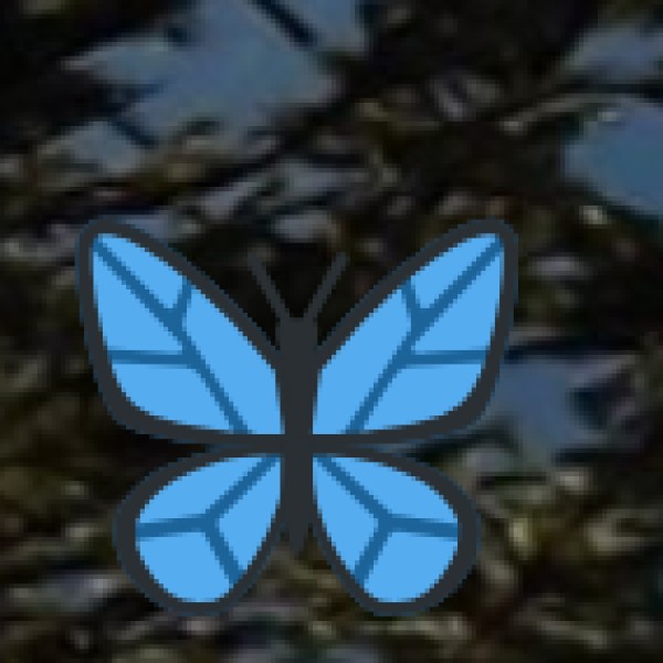 Activities for Tourists