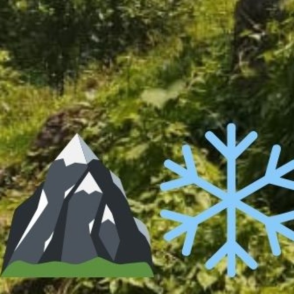 Geographical Advantage