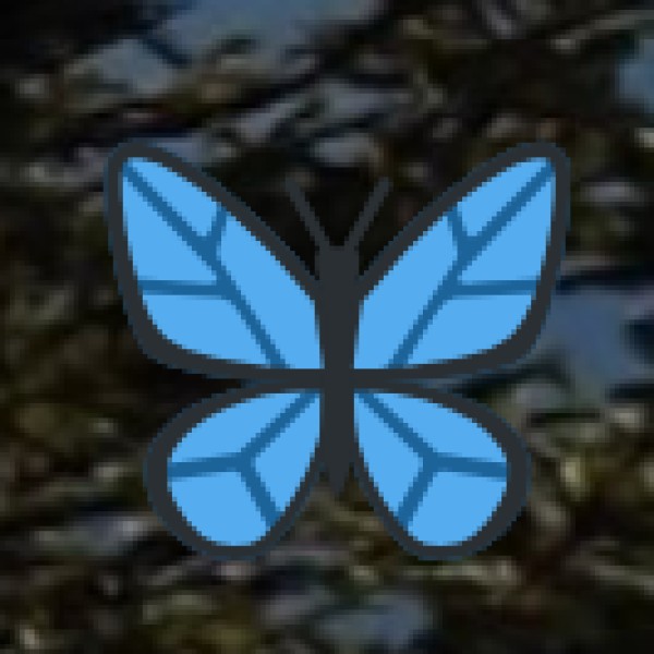 Natural Attractions & Wildlife