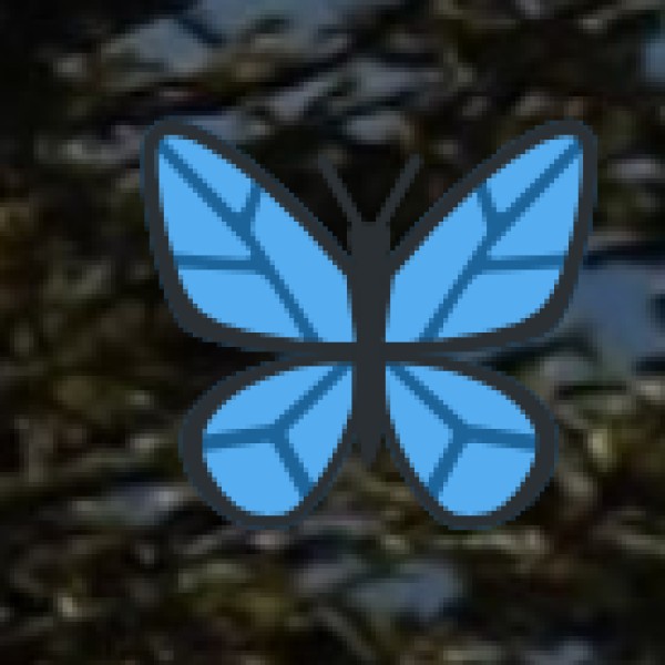 Mandarmani – The Longest Driveable Beach in India