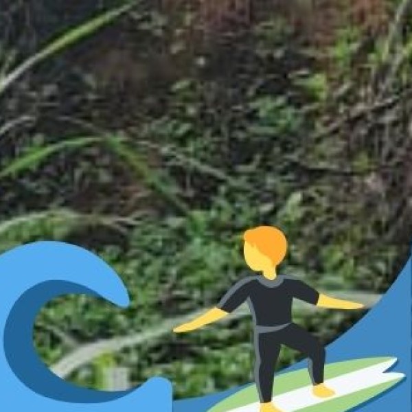 beaches offer a mix of adventure