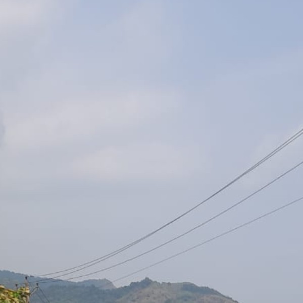 Segments of Assam Tourism