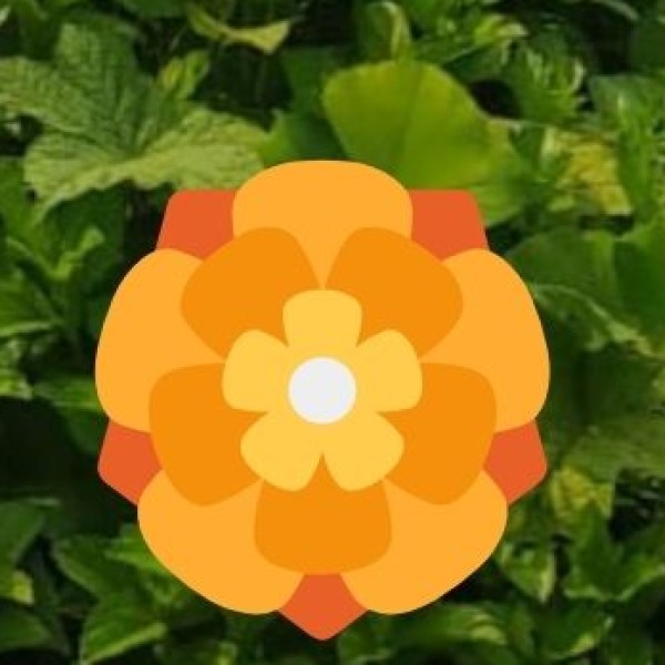 Hamirpur, Bilaspur, Una