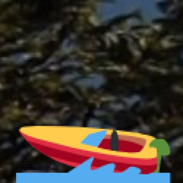 Vagator Beach – Best for Sunsets & Stunning Cliffs