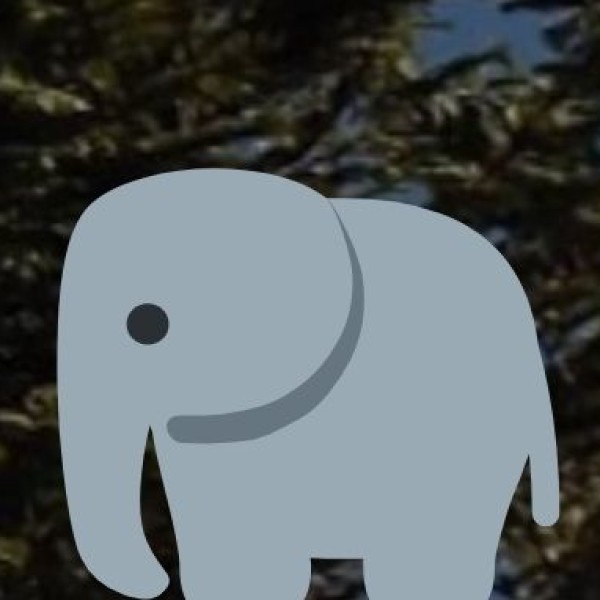 Elephant Festival – A Unique Celebration in Jaipur
