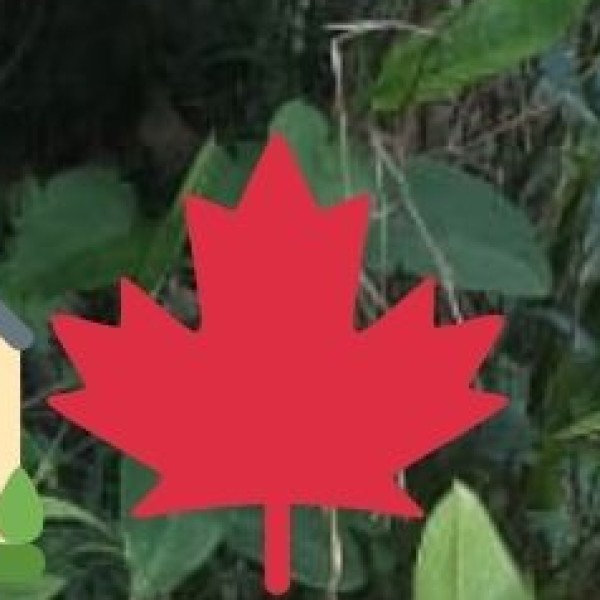 Popular Destinations