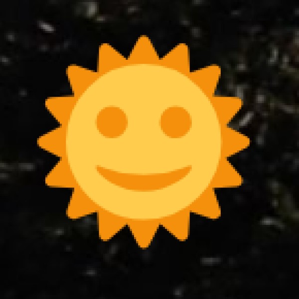 • Workshops and Seminars: