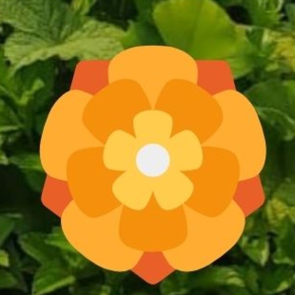 Infrastructure for Business Tourism