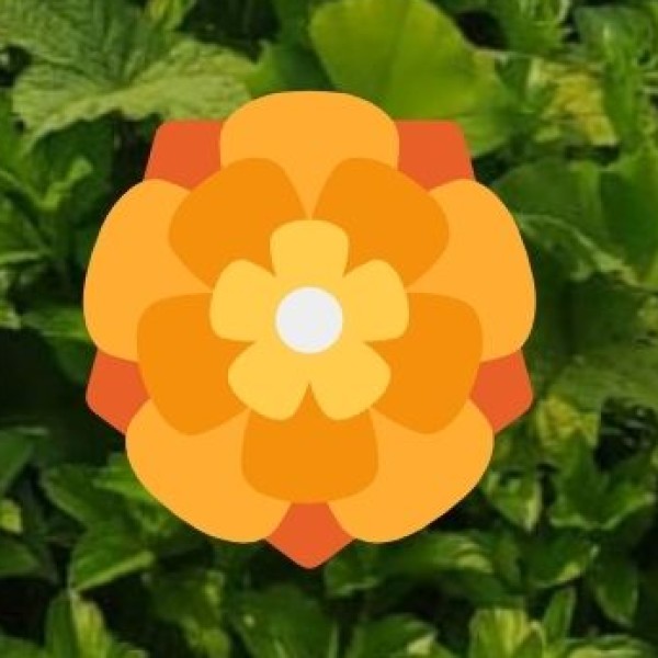 • North East Industrial Development Scheme (NEIDS):