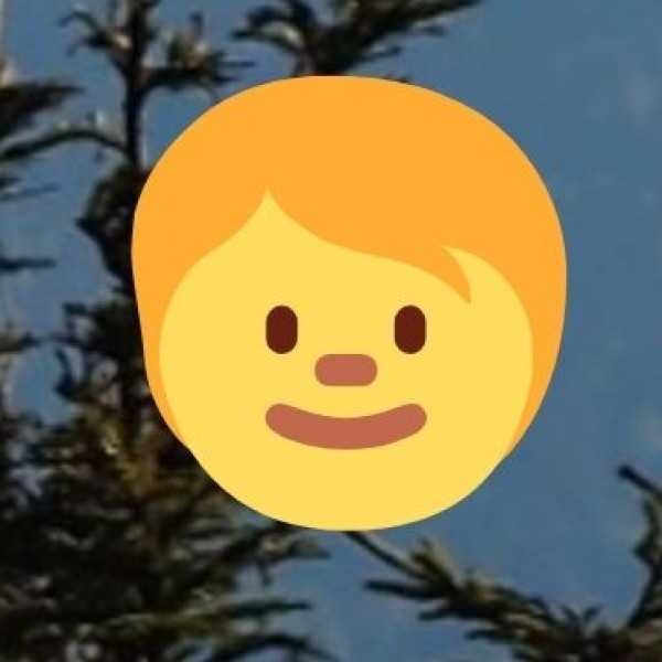 • IT and Digital Economy: