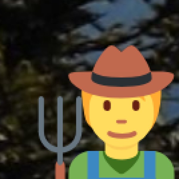 • Growth of Local Businesses: