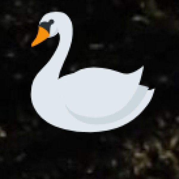 Major Business Cities